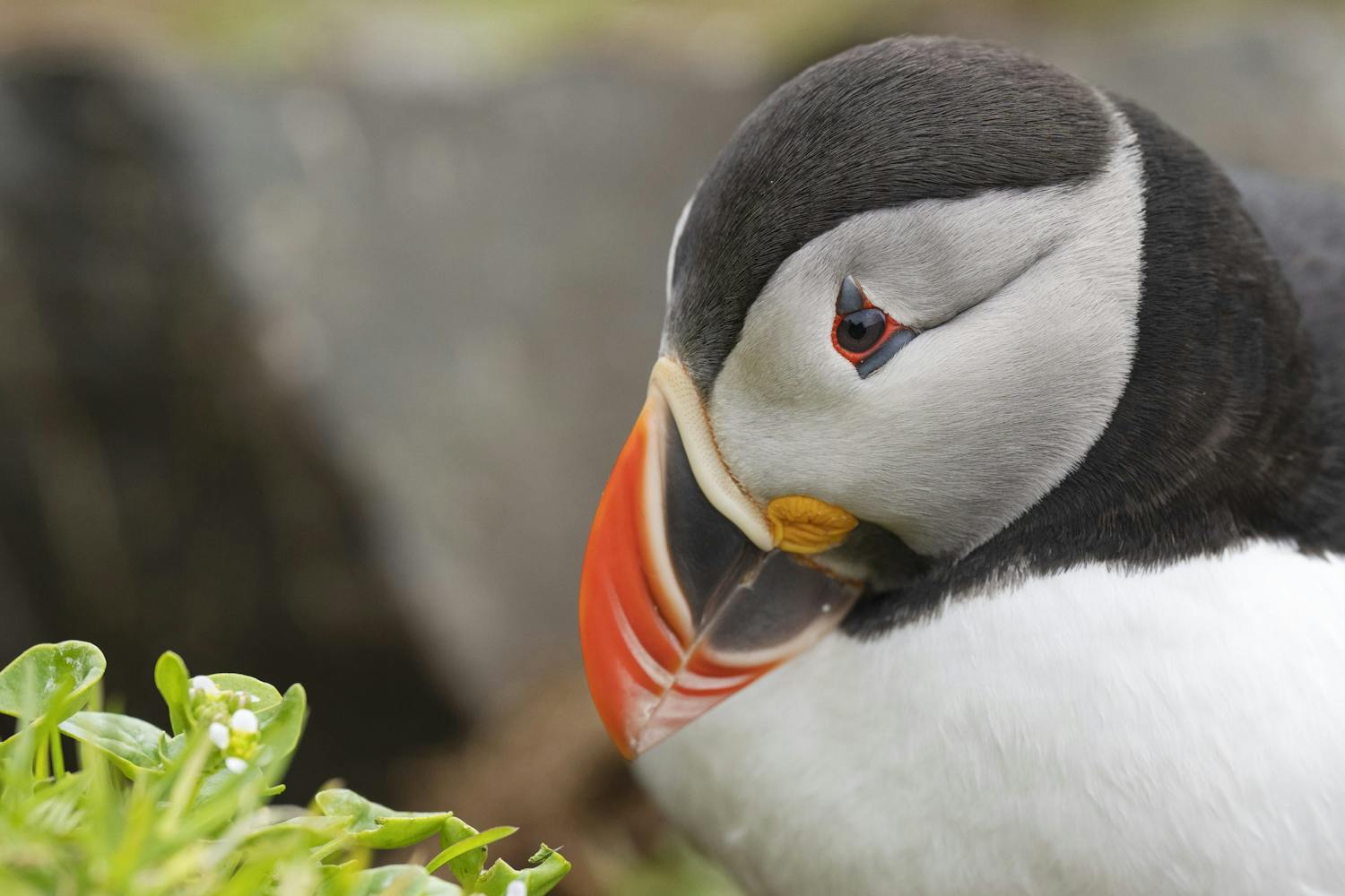 swd 2022 06 09 165738 423 Lunni